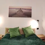 Apartment Flat, Floor, 3 And Terrace